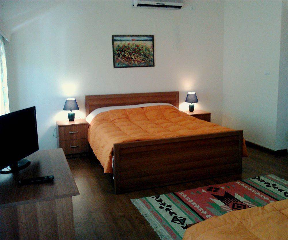 Viktoria Tirana Hotel 3*